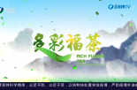 《多彩福茶》11月20日