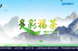《多彩福茶》11月27日
