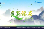 《多彩福茶》12月11日