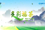 《多彩福茶》4月2日