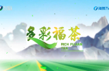 《多彩福茶》4月9日