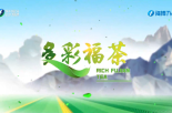 《多彩福茶》4月30日