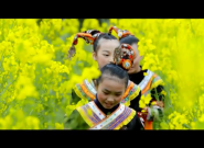 守护