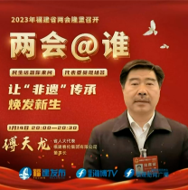 《两会@谁》——福建省人大代表傅天龙谈让“非遗”传承焕发新生