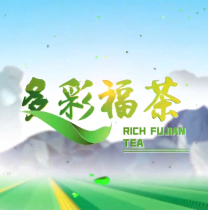 《多彩福茶》2月26日