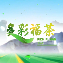 《多彩福茶》4月16日