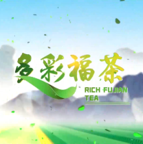《多彩福茶》5月14日