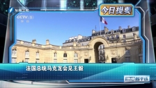 20230217 法國總統馬克龍會見王毅