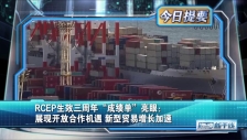 20250104 RCEP生效三周年“成绩单”亮眼：展现开放合作机遇 新型贸易增长加速