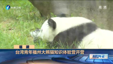 20160810 臺灣青年來榕探訪大熊貓