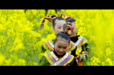 守护
