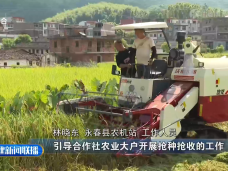 福建新聞聯播
