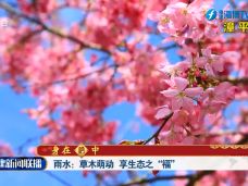 福建新闻联播