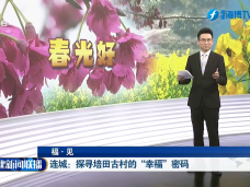 福建新闻联播