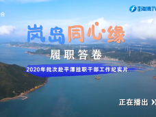 《时代先锋》岚岛同心缘——履职答卷