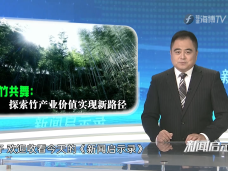 《新聞啟示錄》與竹共舞：探索竹產業價值實現新路徑