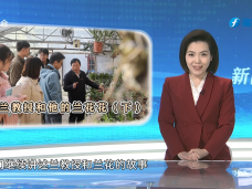 《新聞啟示錄》蘭教授和他的蘭花花（下）