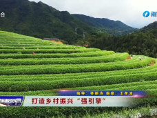 《新闻启示录》打造乡村振兴“强引擎”