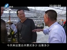时代先锋