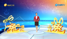 《今日海峡》1月26日