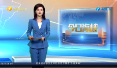 պϿ66