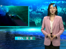 《清新福建文旅報道》加強濕地保護修復  建設人與自然和諧新福建