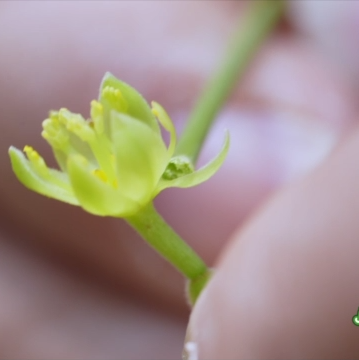 居家防火科普指南