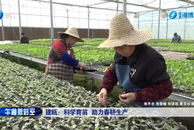建瓯：科学育苗  助力春耕生产