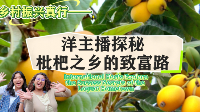 乡村振兴真行——洋主播探秘枇杷之乡的致富路 International Hosts Explore the Success Secrets of the Loquat Hometown