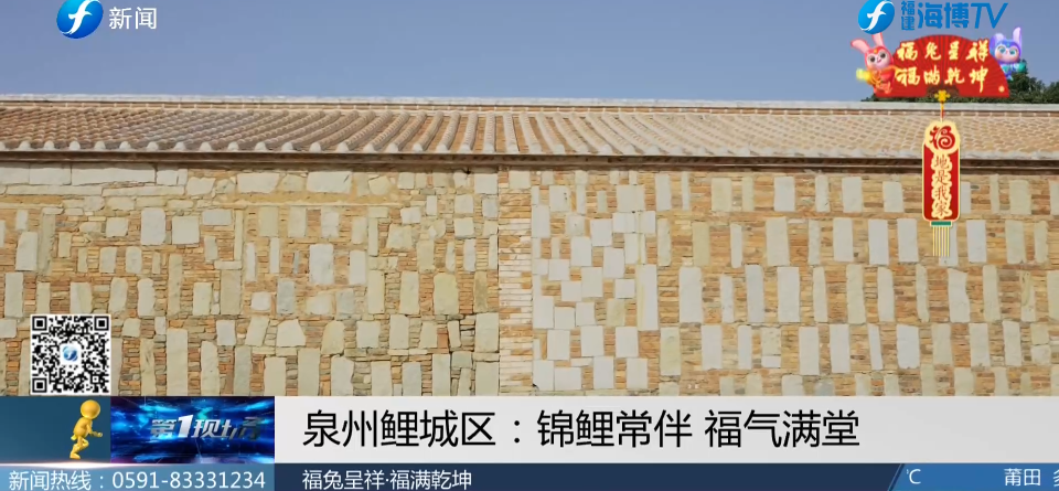 福地是我家丨泉州鲤城区：锦鲤常伴 福气满堂