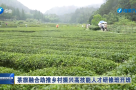 茶旅融合助推乡村振兴高技能人才研修班开班