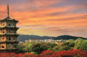 深化对外交流交往，福建打造世界知名旅游目的地