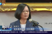 苏贞昌留任台行政机关负责人  “蓝委”指疫情与陈时中救了他