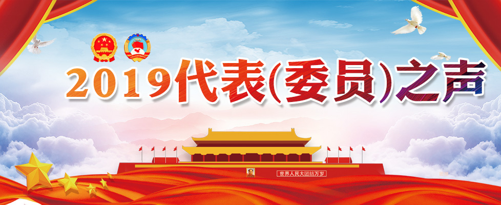 2019代表委员之声
