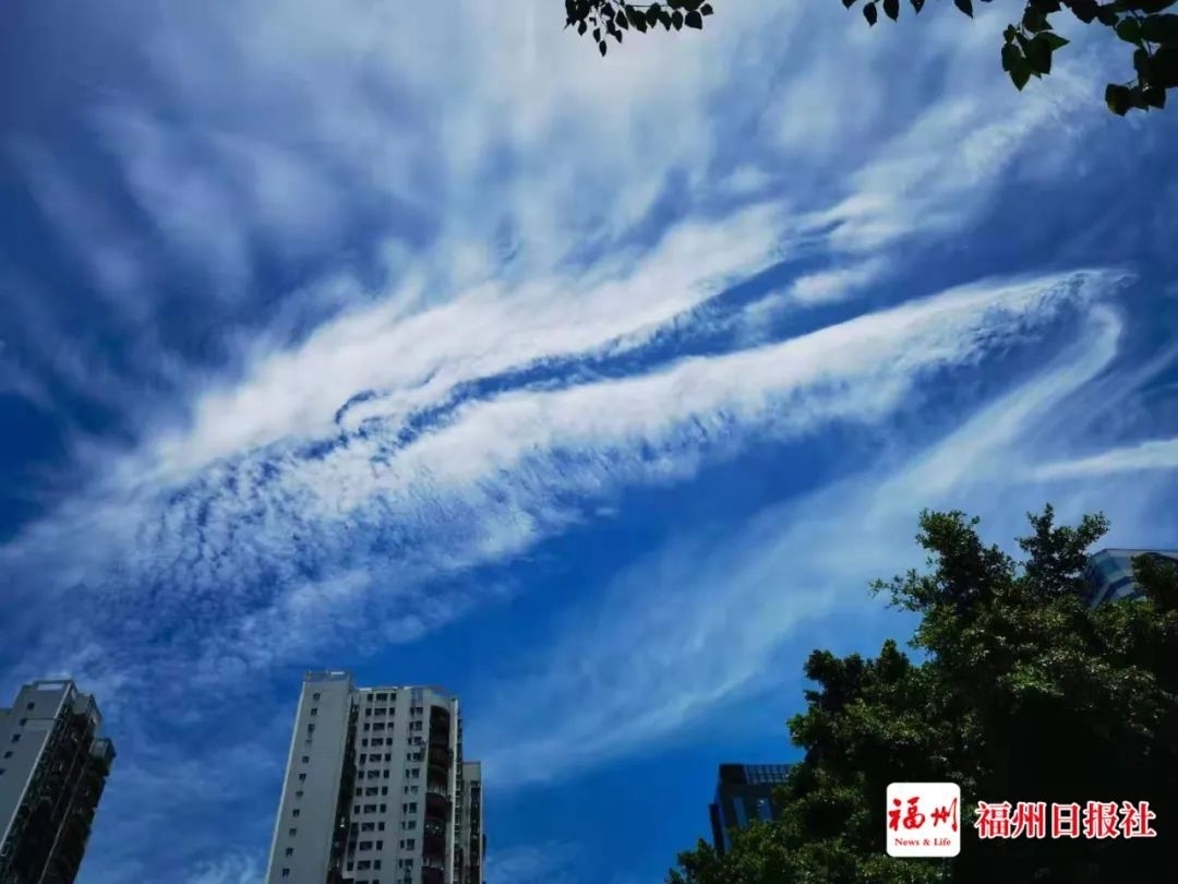 邵芳卿 摄邵芳卿 摄邵芳卿 摄谁持白练当空舞↓霸气!非常罕见!