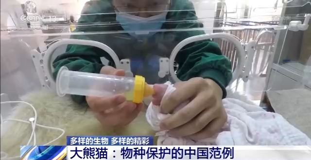 什么是生物多样性有何保护意义一起了解