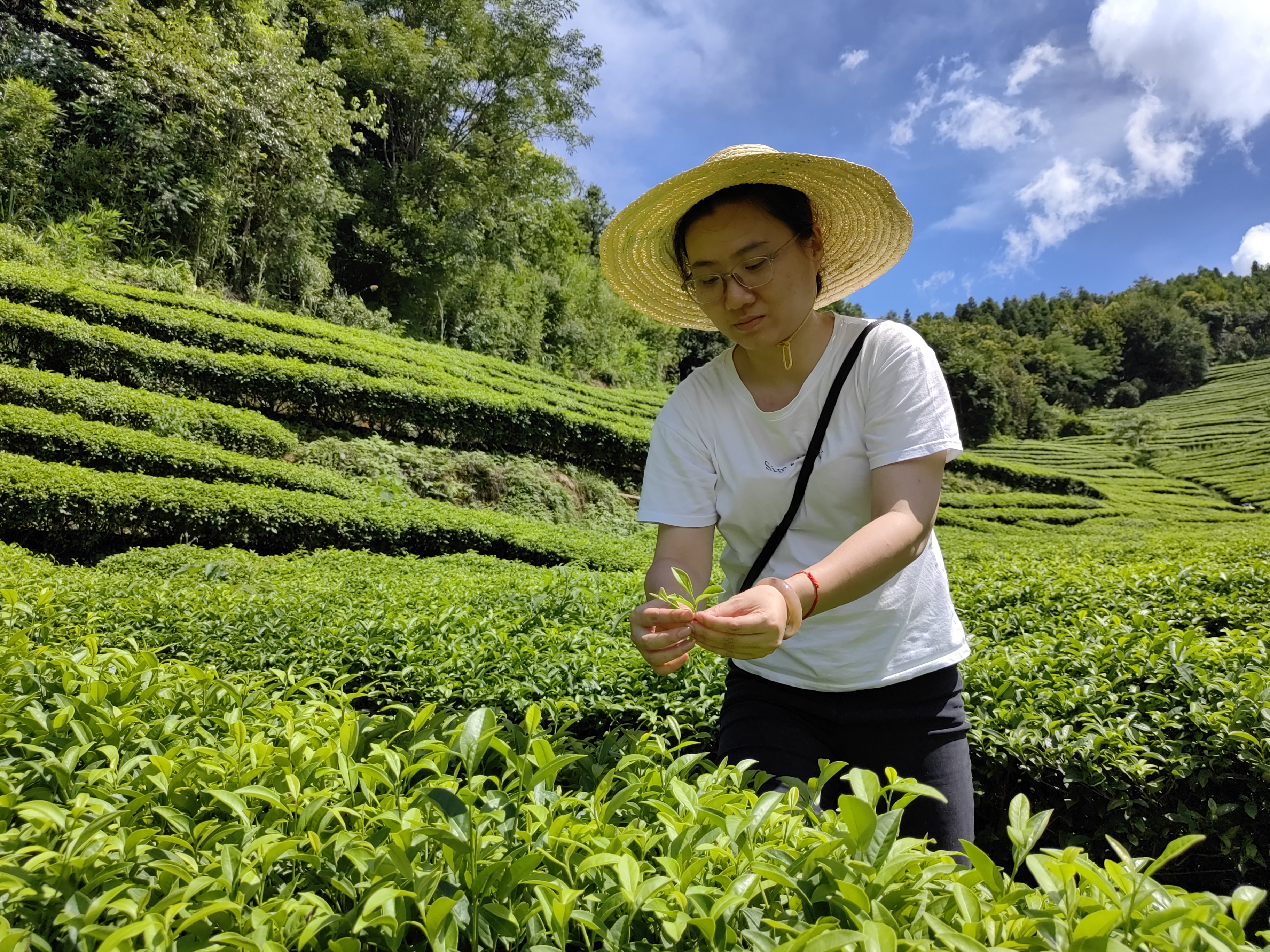 福建这3名年轻的科技特派员在人民日报讲述特派故事