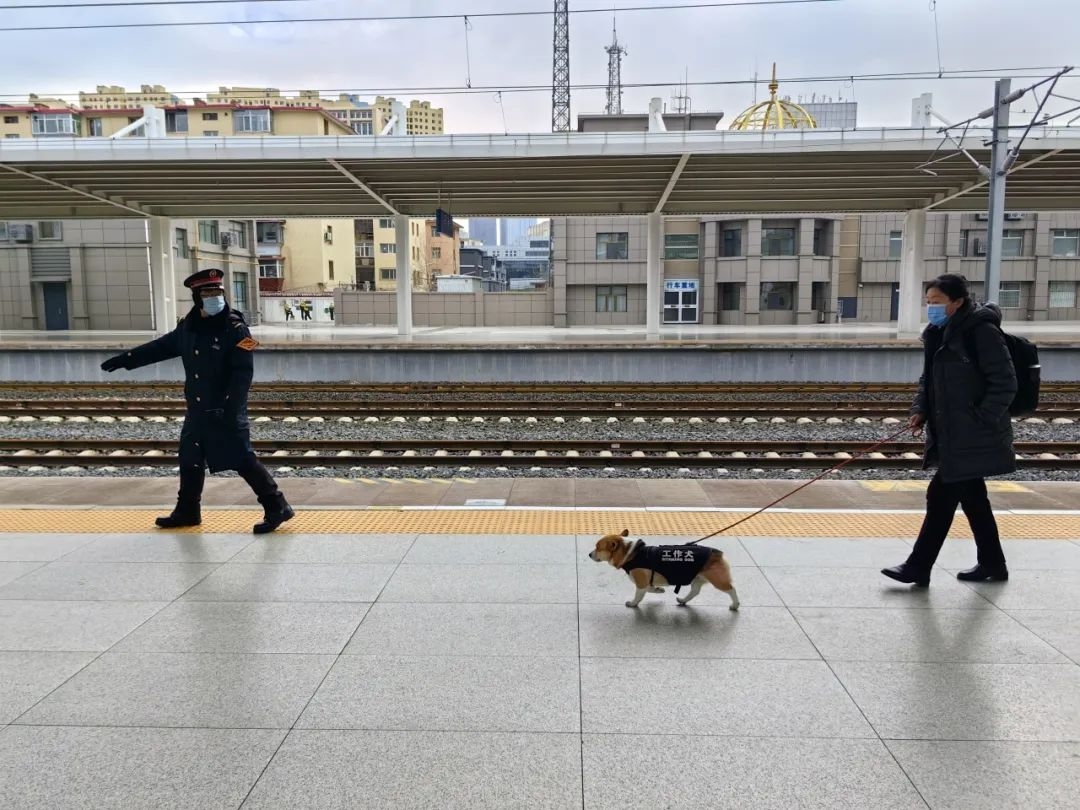 工作證提前派車站值班員在進站口等待根據邱阿姨抵達的時間呼和浩特站