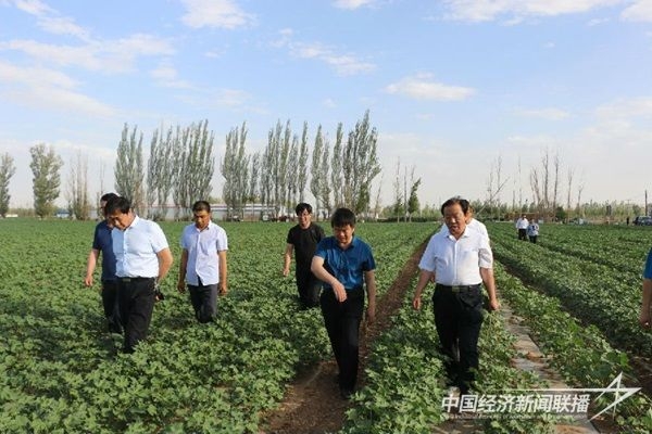 全國經濟廣播高質量發展看中國採訪團走進內蒙古阿拉善盟