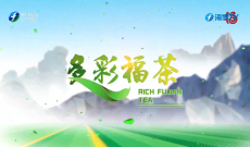 《多彩福茶》1月26日