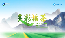 《多彩福茶》2月2日