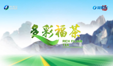 《多彩福茶》2月9日