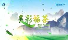 《多彩福茶》2月16日