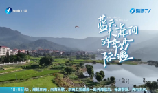 心中有片海丨蓝天大海间的奇妙际遇