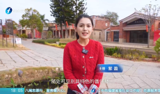 山海福建丨梧林古村落 侨乡文化博物馆