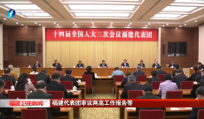 福建代表团审议两高工作报告等