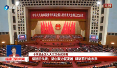 十四届全国人大三次会议闭幕丨福建团代表：凝心聚力促发展 砥砺前行向未来