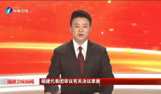 福建代表团审议有关决议草案