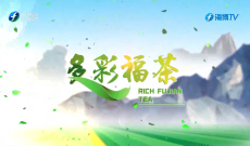《多彩福茶》3月16日