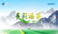 《多彩福茶》3月30日